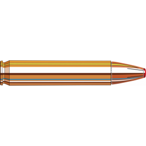 20rd Box Ammo