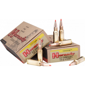 20rd Box Ammo