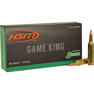 20rd Box Ammo