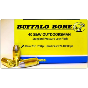 20rd Box Ammo