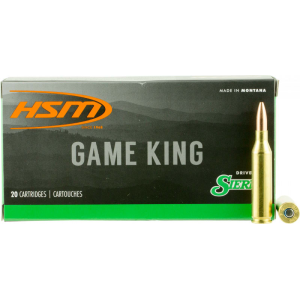20rd Box Ammo
