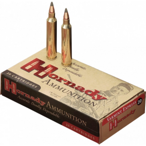 20rd Box Ammo