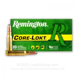 20rd Box Ammo