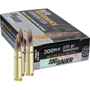 20rd Box Ammo