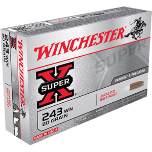 20rd Box Ammo