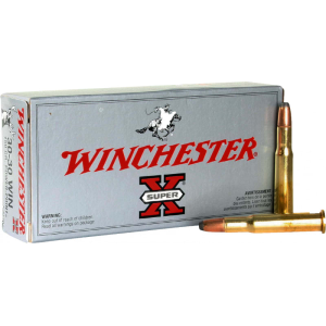20rd Box Ammo