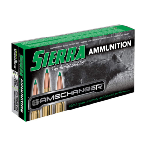20rd Box Ammo