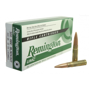 20rd Box Ammo