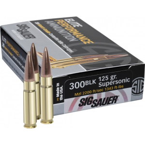 20rd Box Ammo