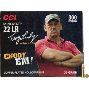 300rd Box Ammo