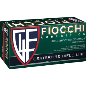 20rd Box Ammo