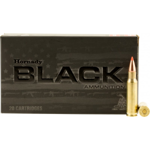20rd Box Ammo