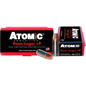 20rd Box Ammo
