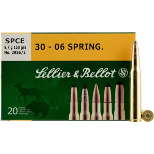 20rd Box Ammo