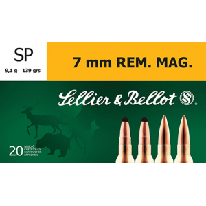20rd Box Ammo