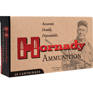 20rd Box Ammo