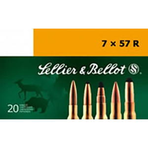 20rd Box Ammo