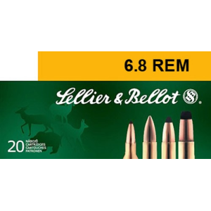 20rd Box Ammo