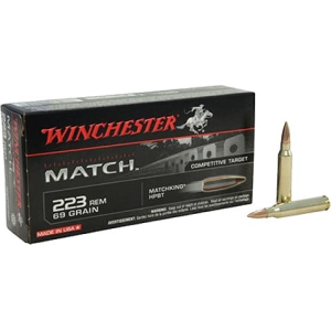 20rd Box Ammo