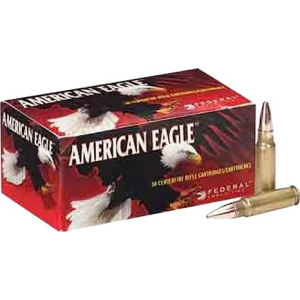 20rd Box Ammo
