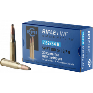 20rd Box Ammo