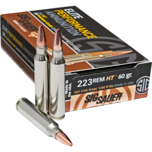 20rd Box Ammo