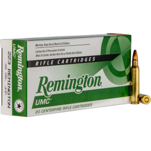 20rd Box Ammo