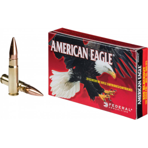 20rd Box Ammo