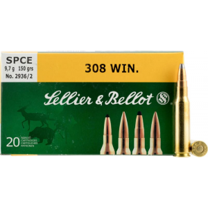 20rd Box Ammo