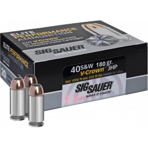 20rd Box Ammo