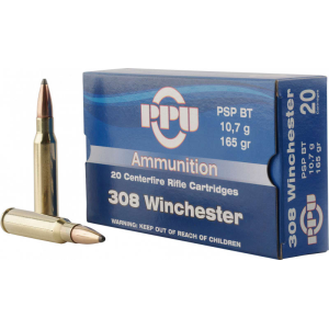 20rd Box Ammo