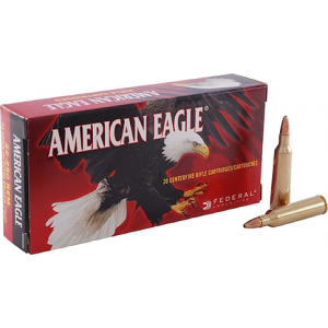 20rd Box Ammo