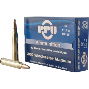 20rd Box Ammo