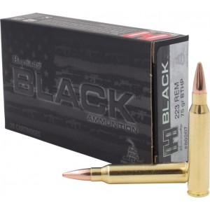 20rd Box Ammo