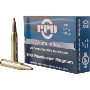 20rd Box Ammo