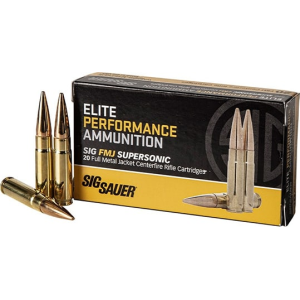 20rd Box Ammo