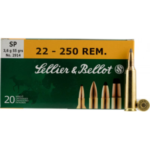 20rd Box Ammo
