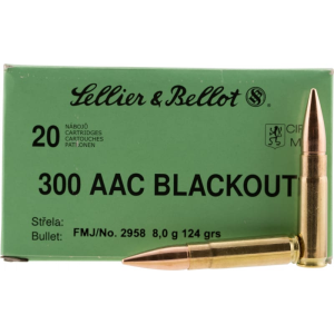 20rd Box Ammo