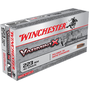 20rd Box Ammo