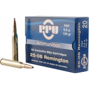20rd Box Ammo