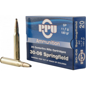 20rd Box Ammo