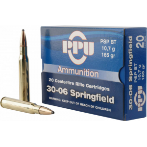20rd Box Ammo