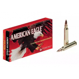 20rd Box Ammo