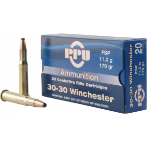 20rd Box Ammo