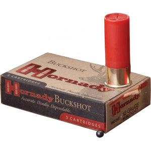 10sh Box Ammo