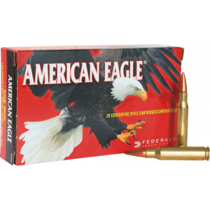 20rd Box Ammo