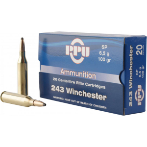 20rd Box Ammo