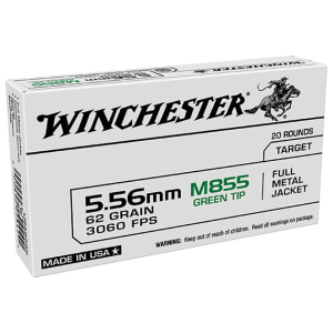 20rd Box Ammo