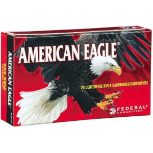20rd Box Ammo