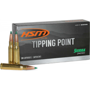 20rd Box Ammo